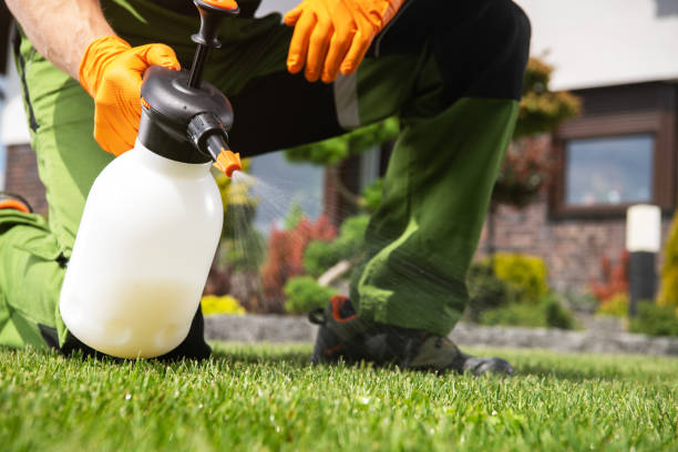 Best Pest Inspection Near Me  in Eldridge, IA