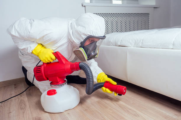 Best Residential Pest Control  in Eldridge, IA