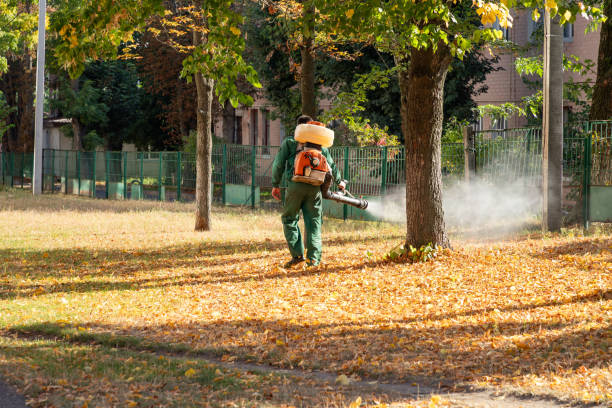 Professional Pest Control in Eldridge, IA